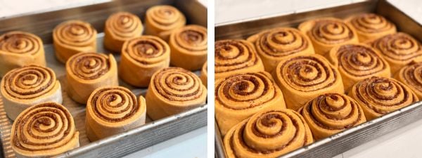 pumpkin cinnamon rolls before after second rise