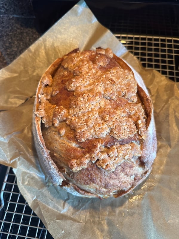 recipe testers apple cider loaf