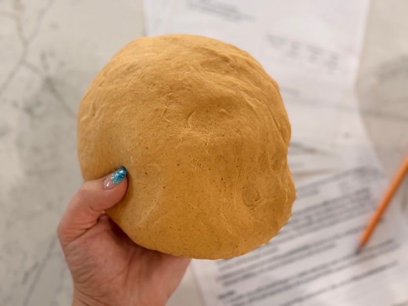 dough texture of finished dough