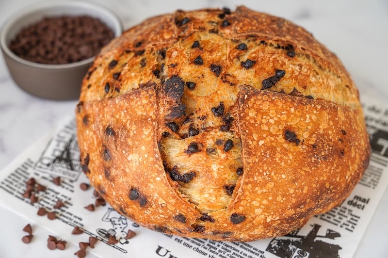 Yummy Chocolate Chip Sourdough Loaf