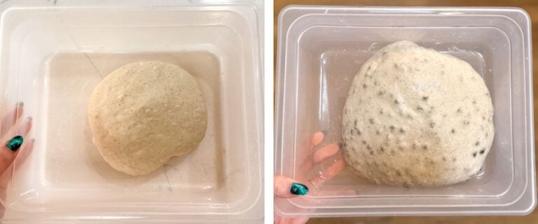 bulk fermentation before after choc chip loaf