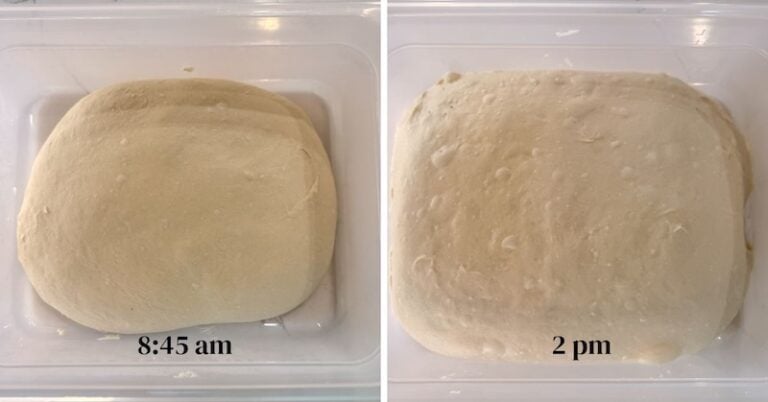 bulk fermentation for sourdough bread bowls