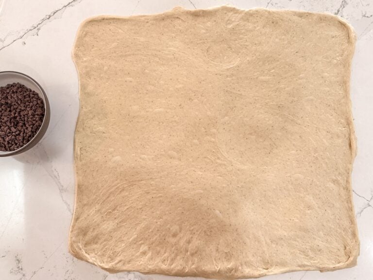 choc chip loaf laminated