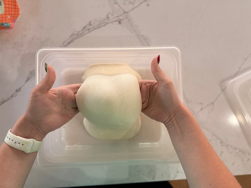 clear proofing container