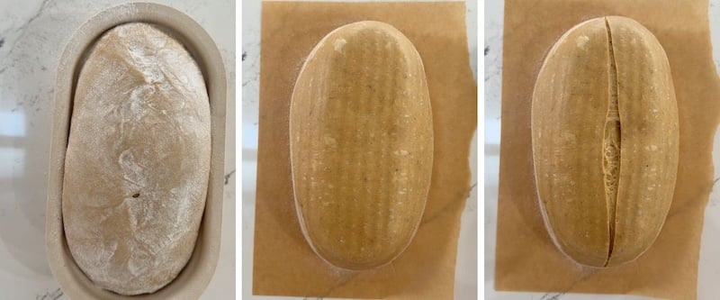 scoring gingerbread loaf batard