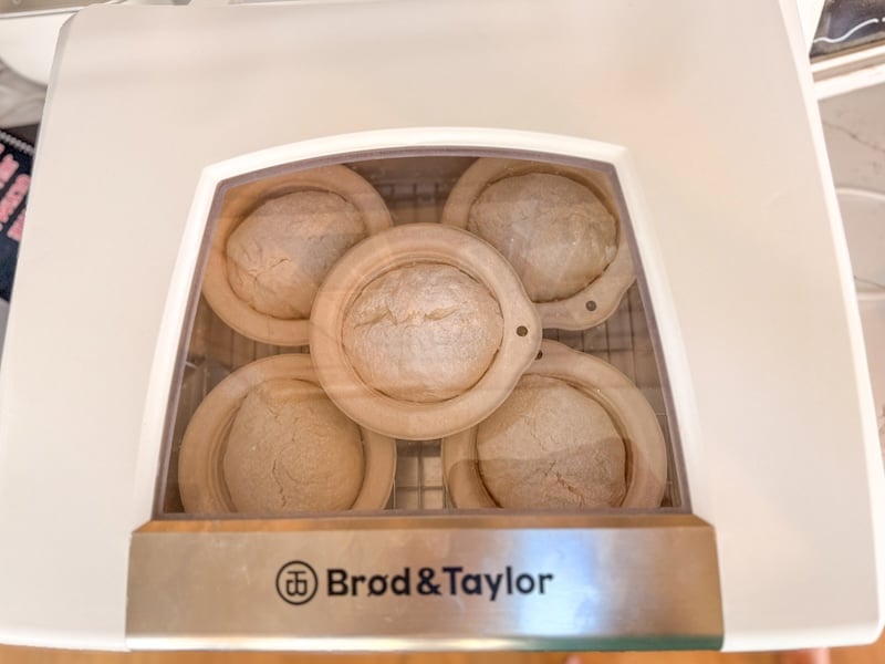 second proof bread bowls