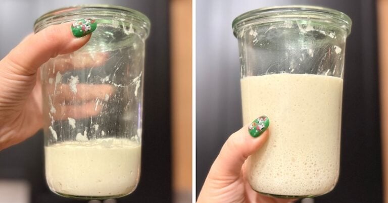 starter for sourdough bread bowls