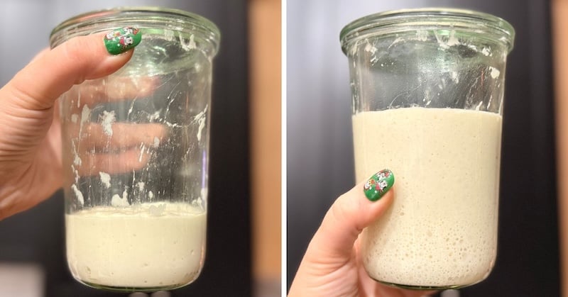 starter for sourdough bread bowls