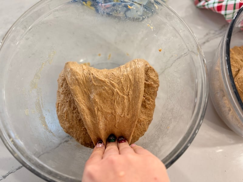 stretch and fold gingerbread 2