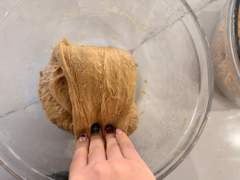 stretch and fold gingerbread 4