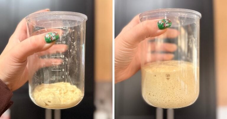 sweet levain gingerbread