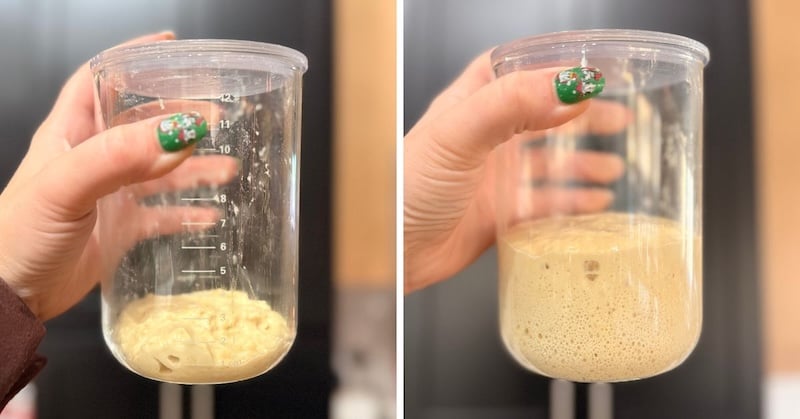 sweet levain gingerbread