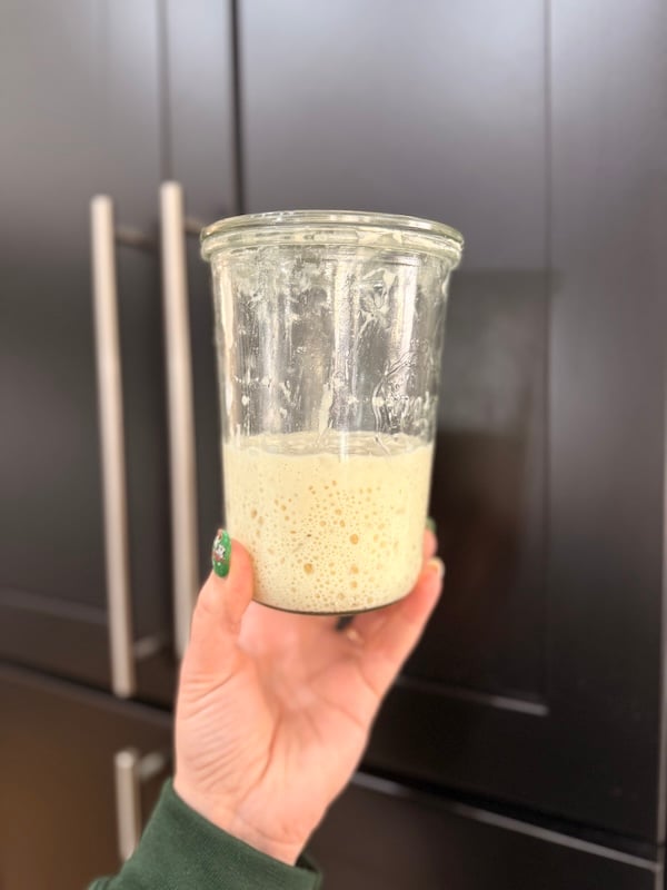 holding my sweet lil sourdough starter