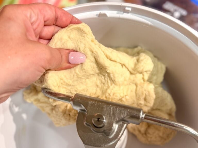 overnight sourdough bagels 1