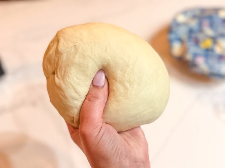 overnight sourdough bagels 2