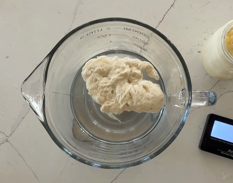 peaked starter floating