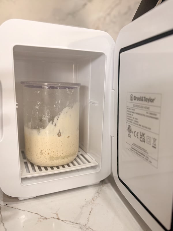 starter in sourdough home