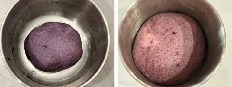 blueberry bagel dough bulk fermentation before after