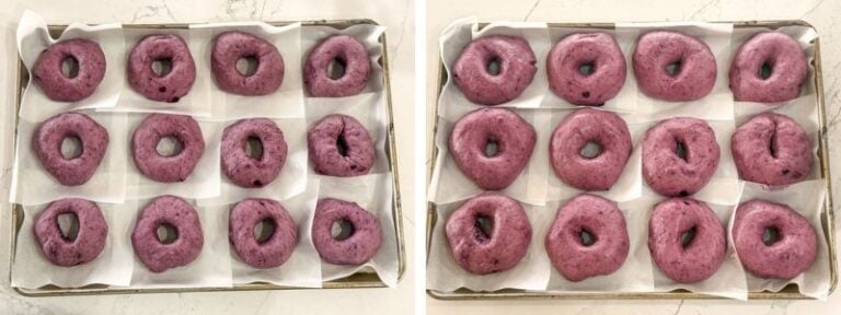 blueberry bagels before and after second proof