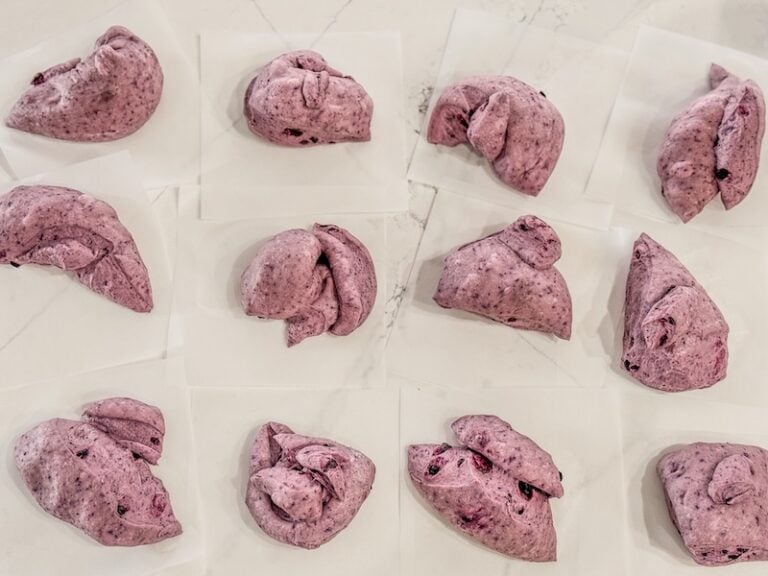 divided blueberry bagels