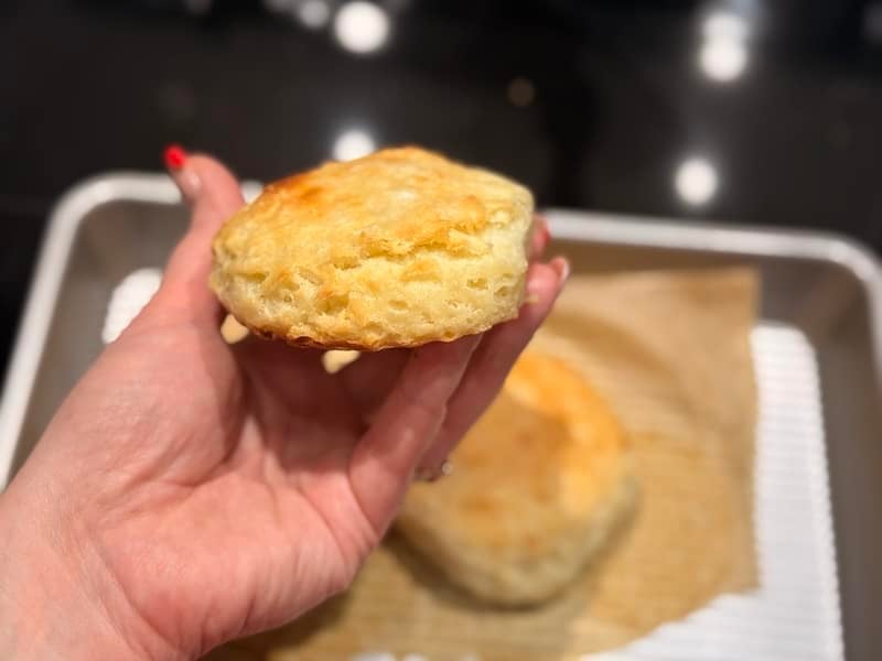 room temperature all day fermented