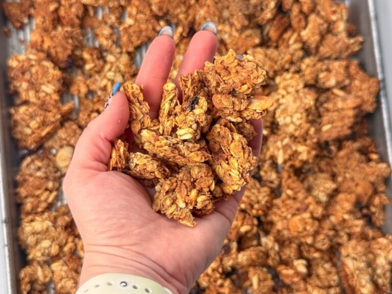 Easy Sourdough Discard Recipe - Oats & Honey Granola