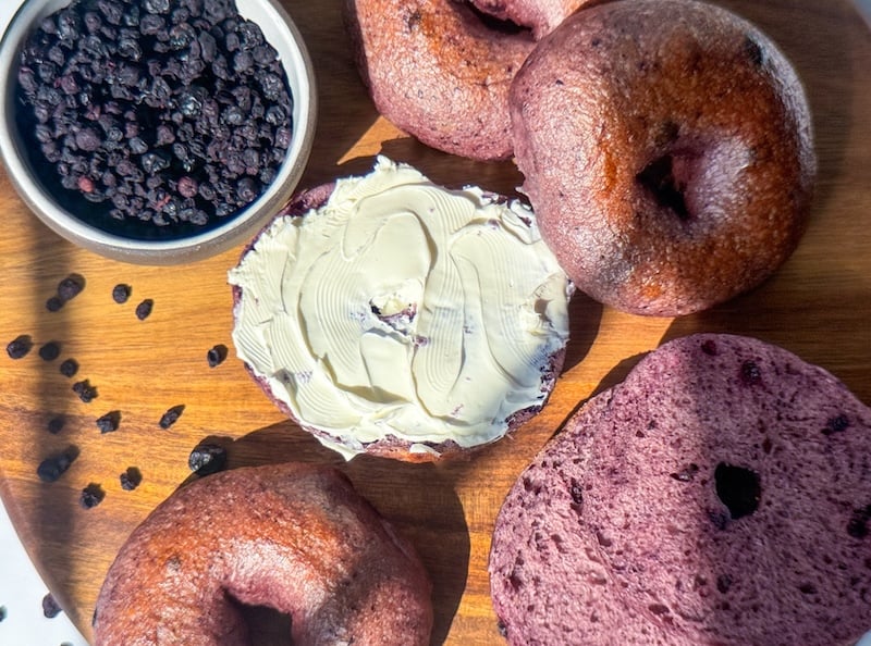 Wild Blueberry Sourdough Bagels with Cream Cheese and a bowl of dried blueberries