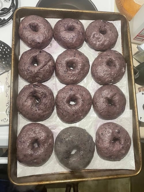 tray of shaped wild blueberry bagels after boiling, with one discolored bagel showing the baking soda color change
