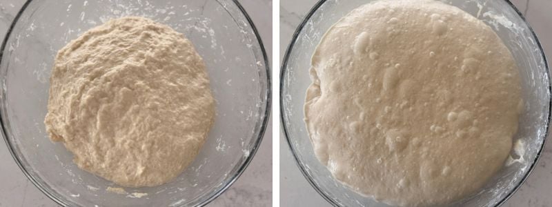 bulk fermentation beginning and end