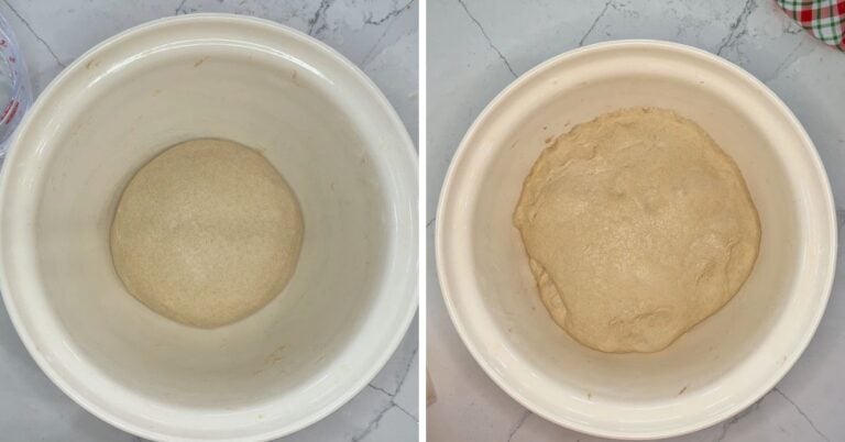 einkorn dough ready for shaping