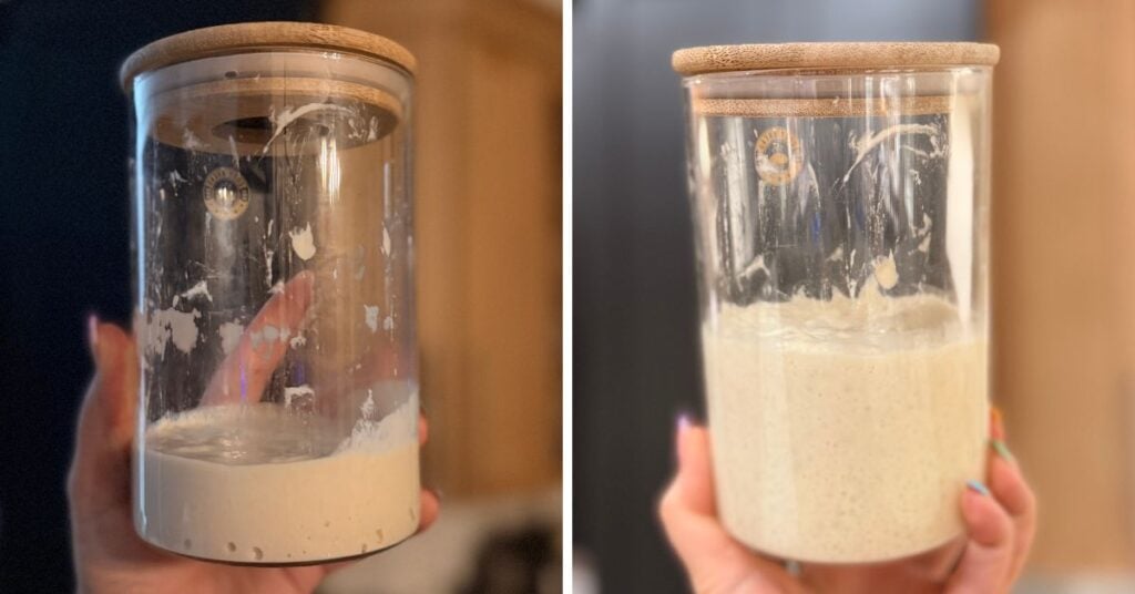 side-by-side view of sourdough starter before and after rising in a glass jar