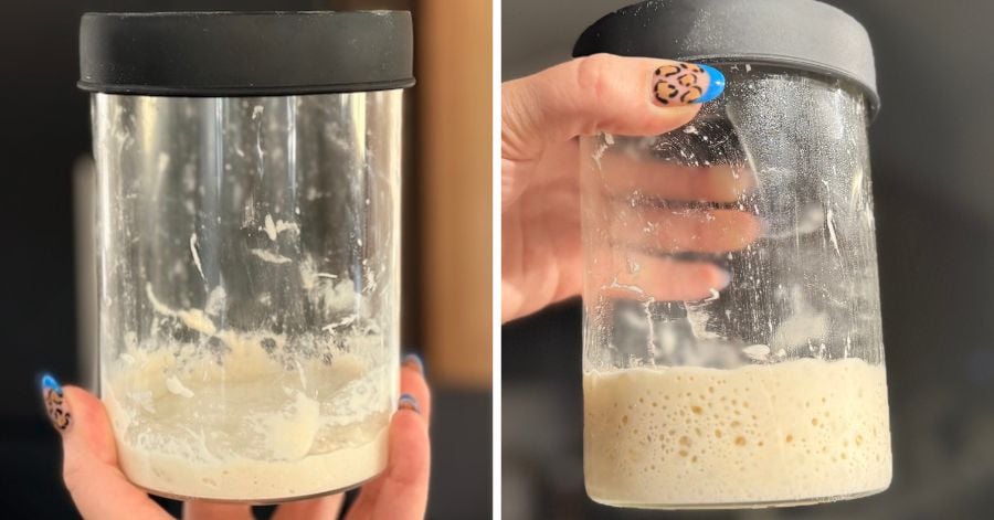 active sourdough starter before and after feeding, showing the bubbly rise needed for the recipe