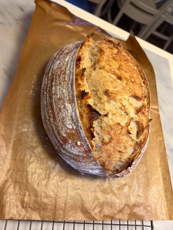 50% einkorn sourdough boule on parchment, showing open oven spring along one side