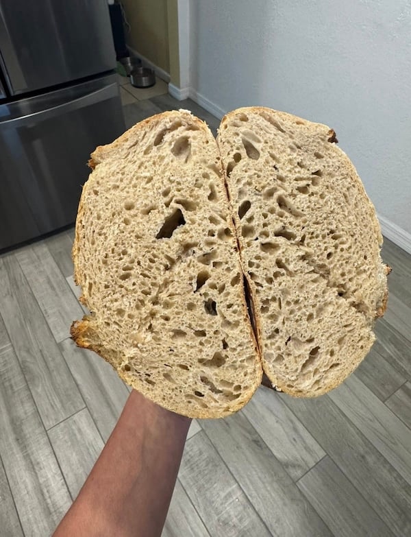 50% einkorn sourdough boule sliced in half, showing the crumb