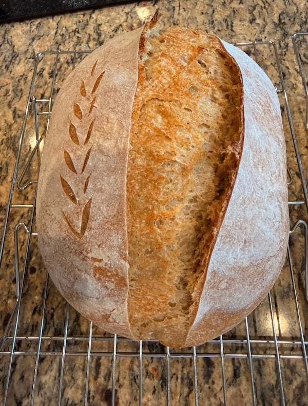 50% einkorn sourdough boule with a wheat stalk score pattern, on a cooling rack