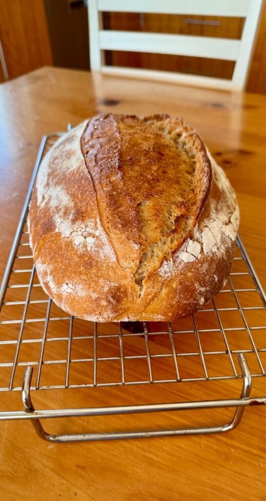 50% einkorn sourdough batard on a cooling rack
