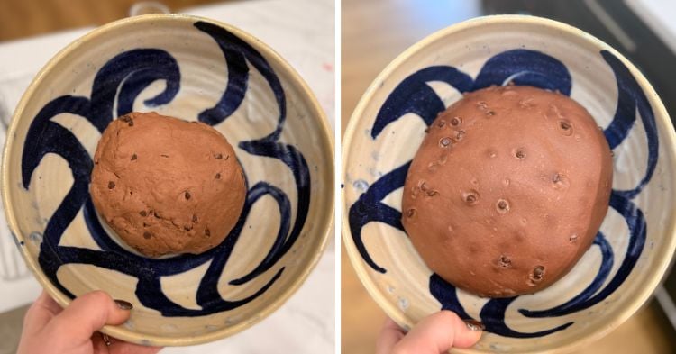 bagel dough before and after bulk fermentation