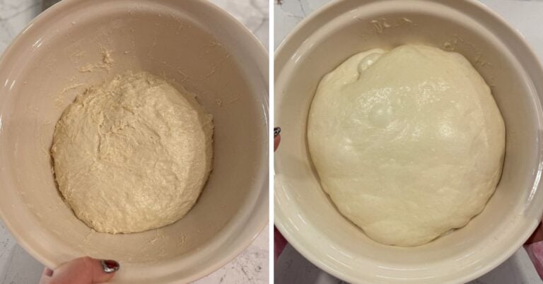 before and after bulk fermentation