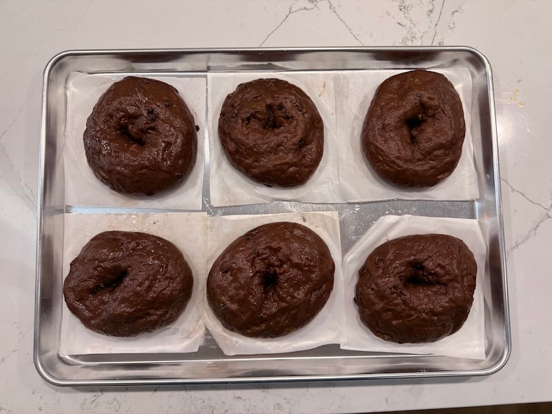 six boiled Double chocolate bagels on a sheet pan ready to bake
