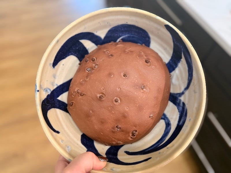puffed chocolate chip bagel dough after bulk fermentation