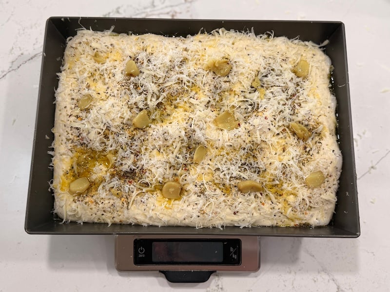 focaccia dough with olive oil, roasted garlic, and two cheeses spread on top