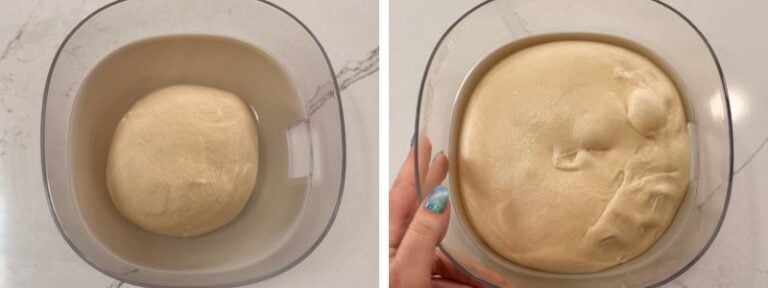 bierocks dough before and after bulk fermentation