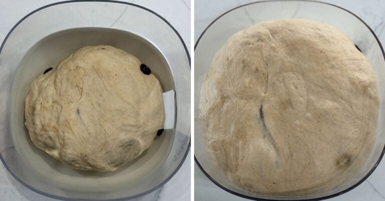 cinnamon raisin bagel dough before and after bulk fermentation