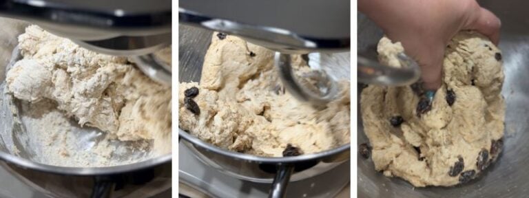 cinnamon raisin bagel dough stand mixer initial quick mix