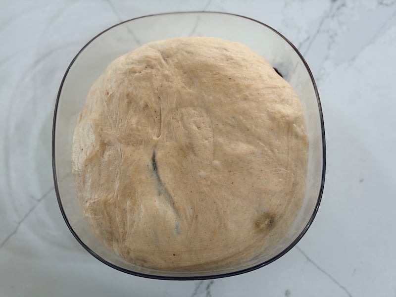 cinnamon raisin swirl bagel dough after fermentation, roughly doubled in size