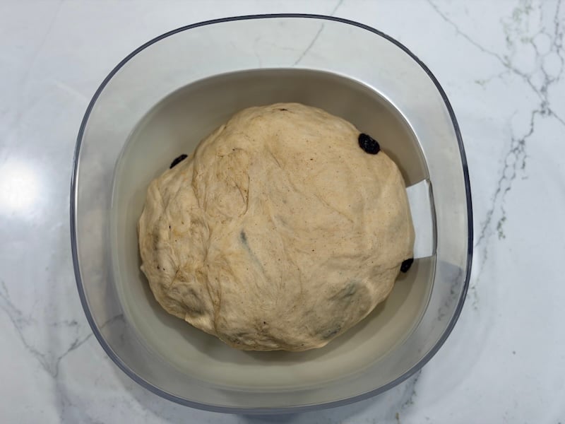 cinnamon raisin swirl bagel dough before fermentation