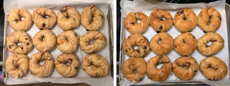 cinnamon raisin swirl bagels before after boiling and baking
