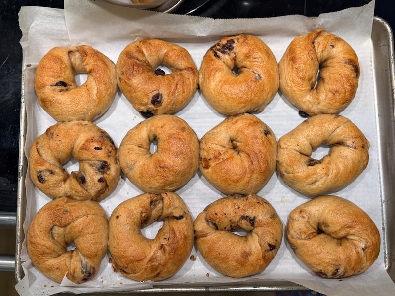baked cinnamon raisin sourdough bages cooling on a parchment-lined sheet pan