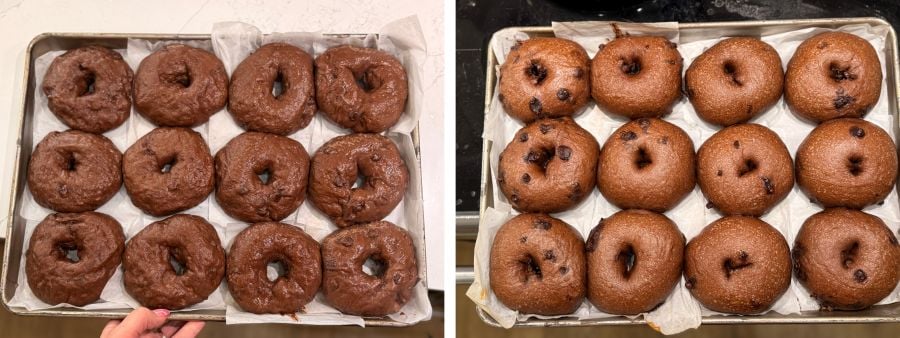 chocolate bagels on sheet pans, boiled on the left and baked on the right