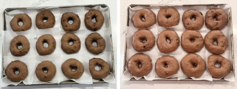 double chocolate bagels before and after second proof